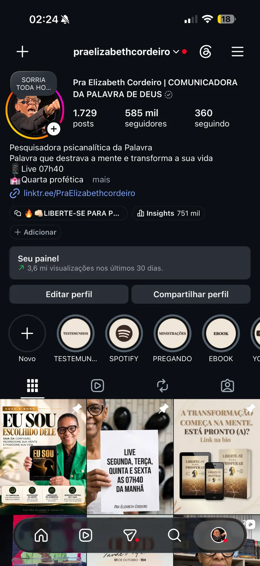 Print do painel do perfil com 585 mil seguidores e 3,6 milhões de visualizações nos últimos 30 dias